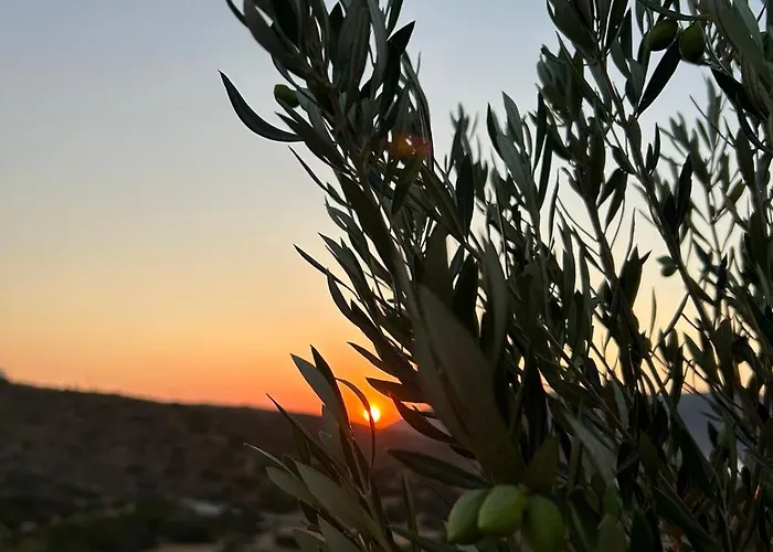 Nature & Sea Lipsi